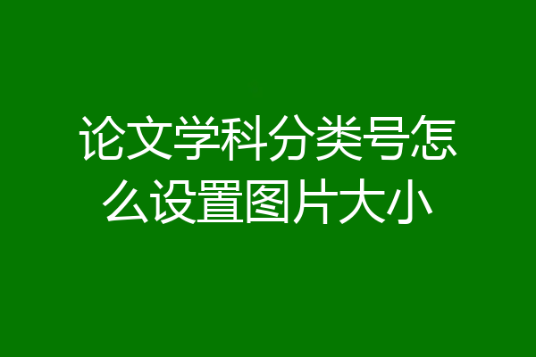 论文学科分类号怎么设置图片大小