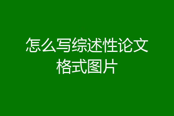 怎么写综述性论文格式图片