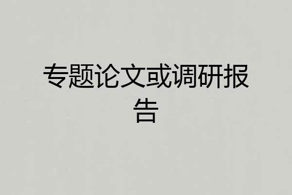 专题论文或调研报告