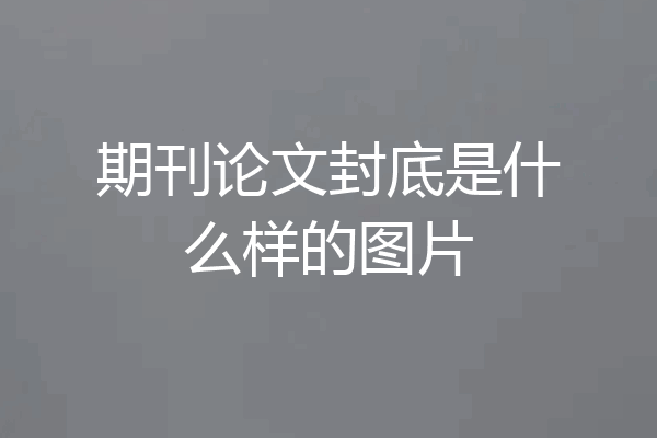期刊论文封底是什么样的图片