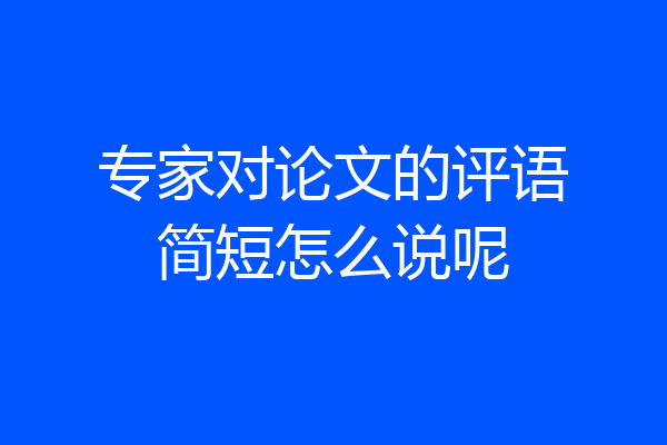 专家对论文的评语简短怎么说呢