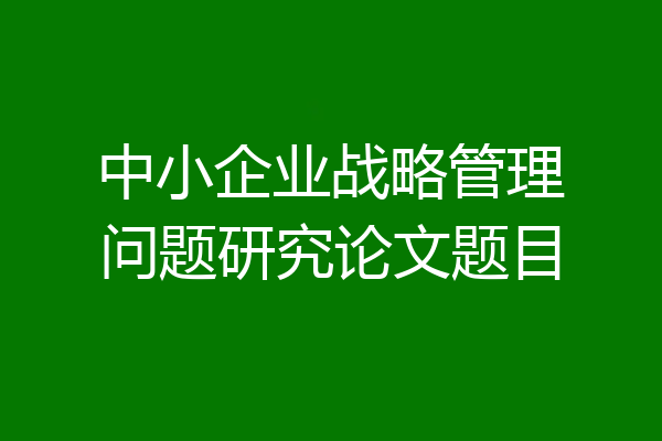 中小企业战略管理问题研究论文题目