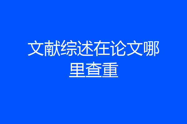 文献综述在论文哪里查重
