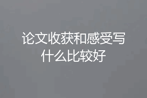论文收获和感受写什么比较好