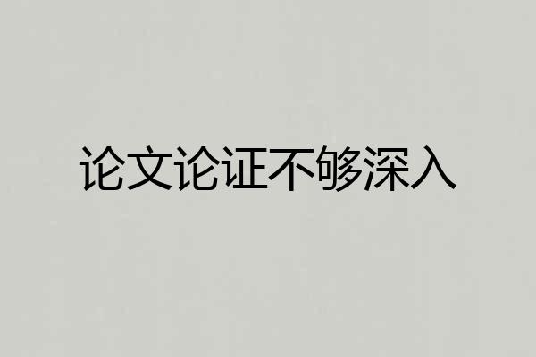 论文论证不够深入