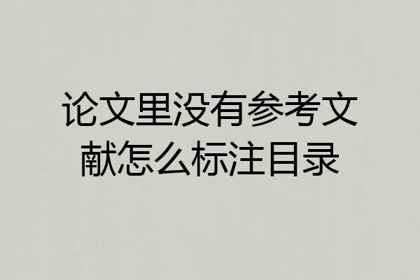 论文里没有参考文献怎么标注目录