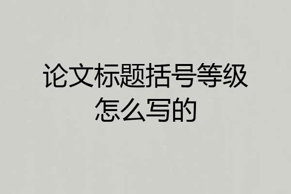 论文标题括号等级怎么写的