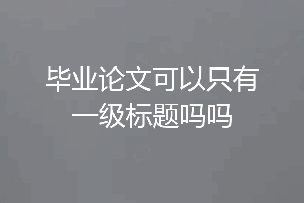 毕业论文可以只有一级标题吗吗