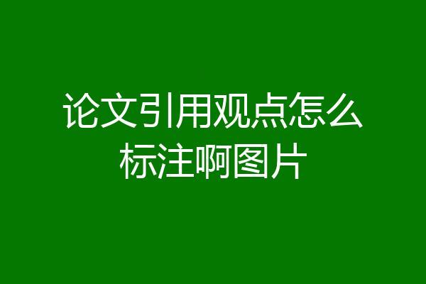 论文引用观点怎么标注啊图片