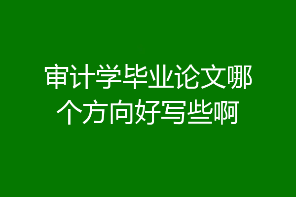 审计学毕业论文哪个方向好写些啊
