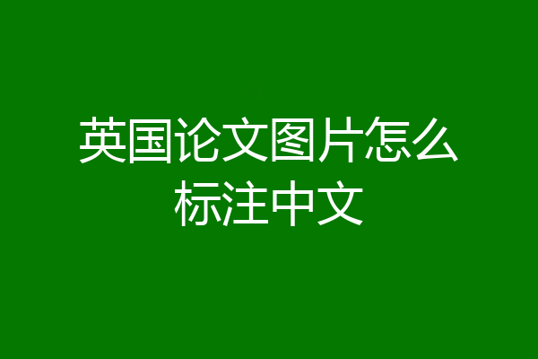 英国论文图片怎么标注中文