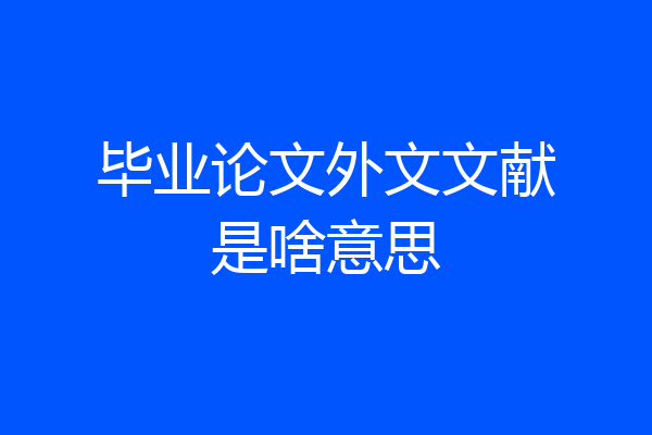 毕业论文外文文献是啥意思