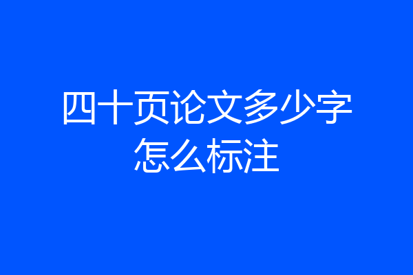 四十页论文多少字怎么标注
