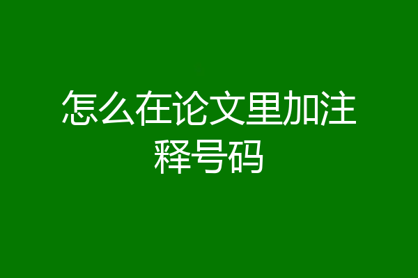怎么在论文里加注释号码