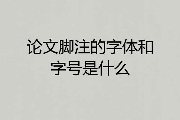 论文脚注的字体和字号是什么