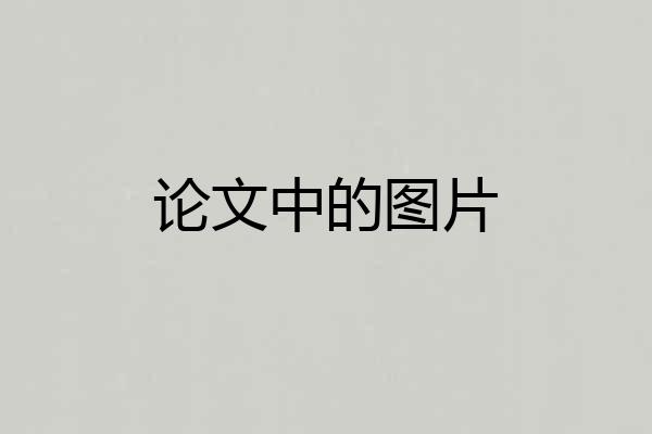 论文中的图片