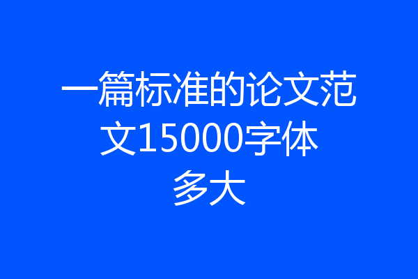一篇标准的论文范文15000字体多大