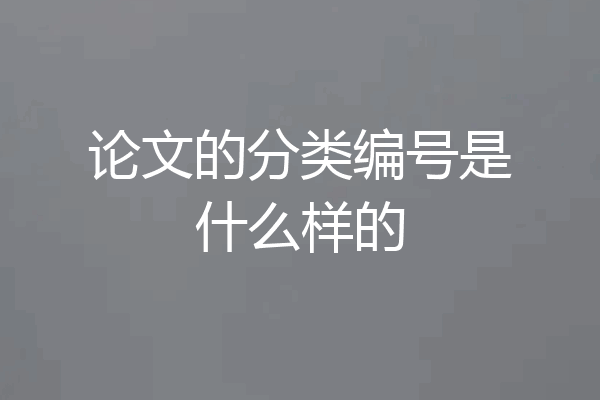 论文的分类编号是什么样的