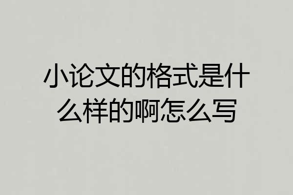 小论文的格式是什么样的啊怎么写