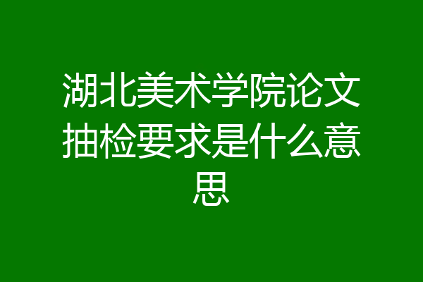 湖北美术学院论文抽检要求是什么意思