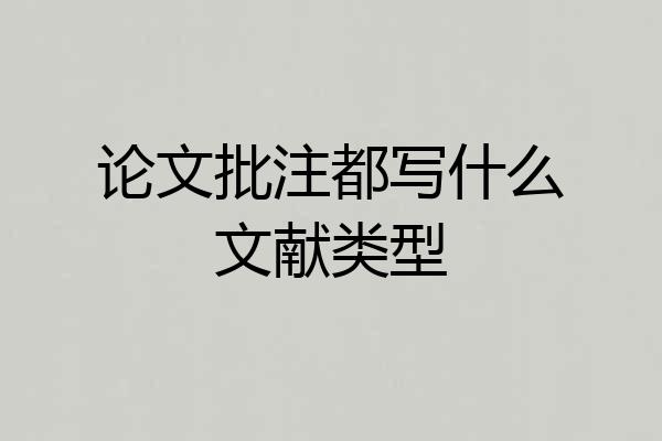 论文批注都写什么文献类型