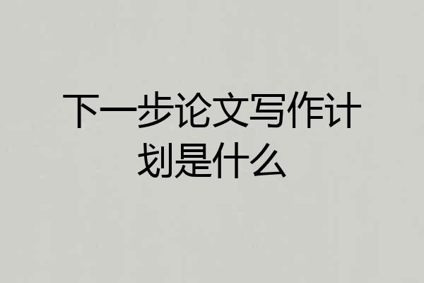 下一步论文写作计划是什么