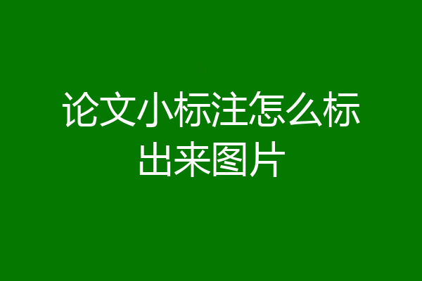 论文小标注怎么标出来图片