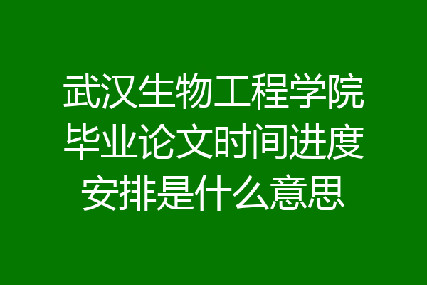 武汉生物工程学院毕业论文时间进度安排是什么意思