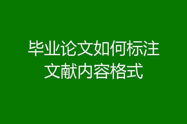 毕业论文如何标注文献内容格式