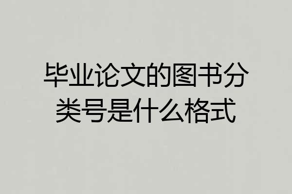 毕业论文的图书分类号是什么格式