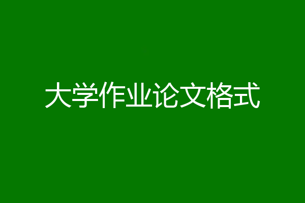 大学作业论文格式