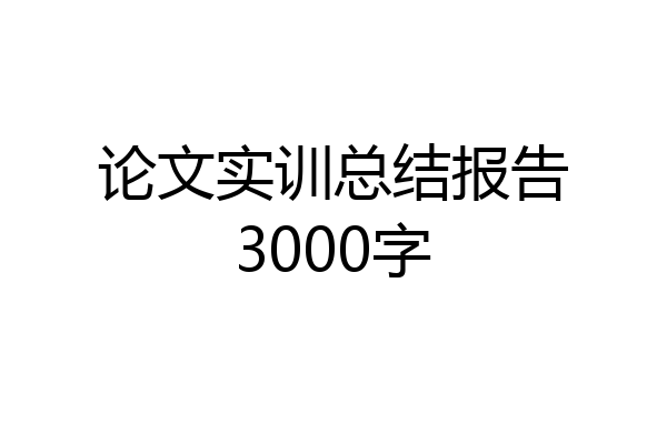 论文实训总结报告3000字