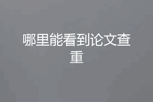 哪里能看到论文查重