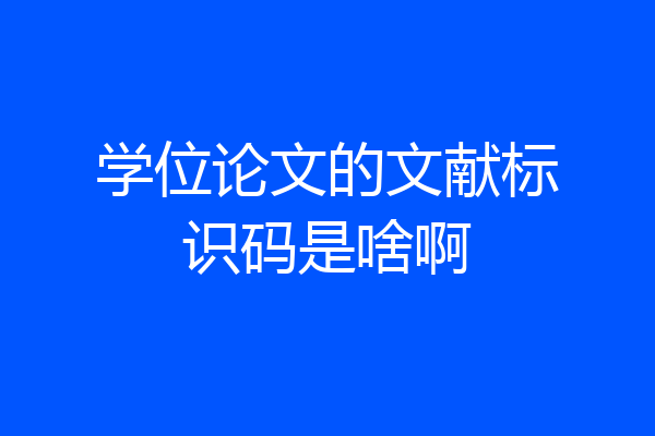 学位论文的文献标识码是啥啊