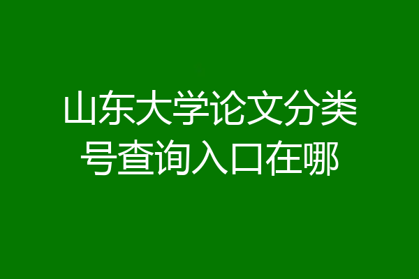山东大学论文分类号查询入口在哪