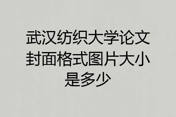 武汉纺织大学论文封面格式图片大小是多少