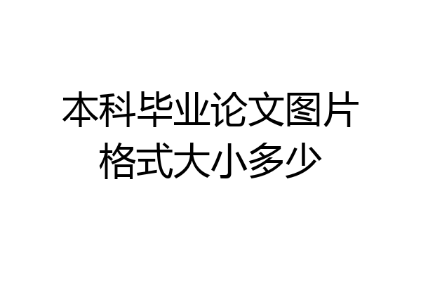 本科毕业论文图片格式大小多少