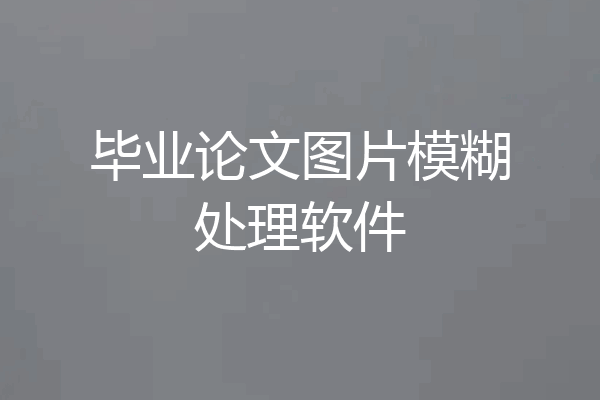 毕业论文图片模糊处理软件
