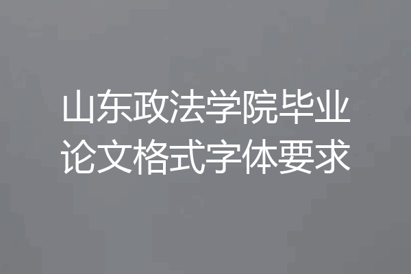 山东政法学院毕业论文格式字体要求
