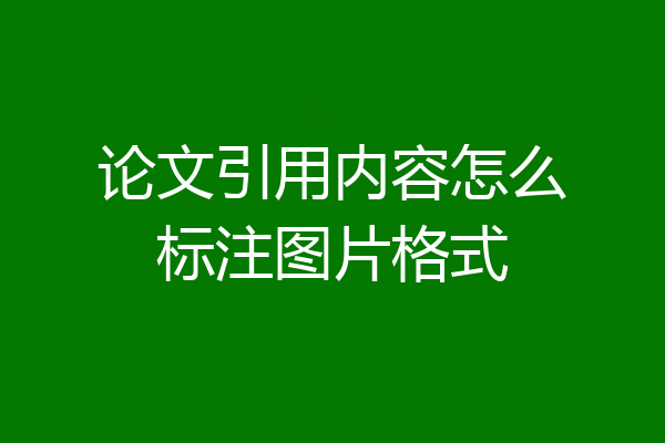 论文引用内容怎么标注图片格式