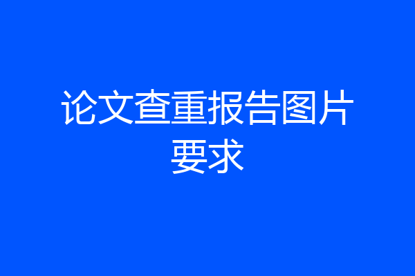 论文查重报告图片要求