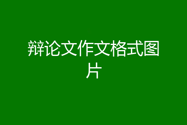 辩论文作文格式图片