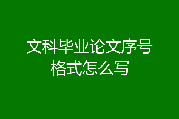 文科毕业论文序号格式怎么写
