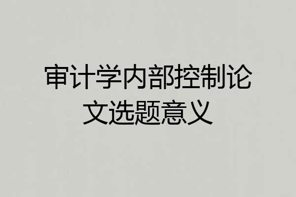 审计学内部控制论文选题意义