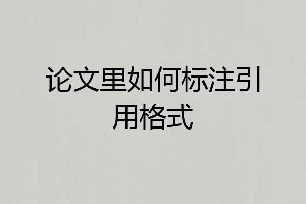 论文里如何标注引用格式