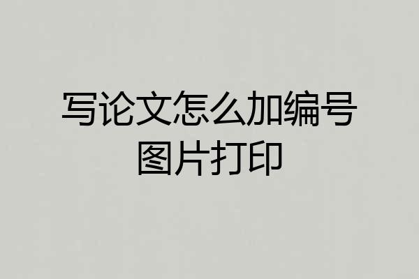 写论文怎么加编号图片打印
