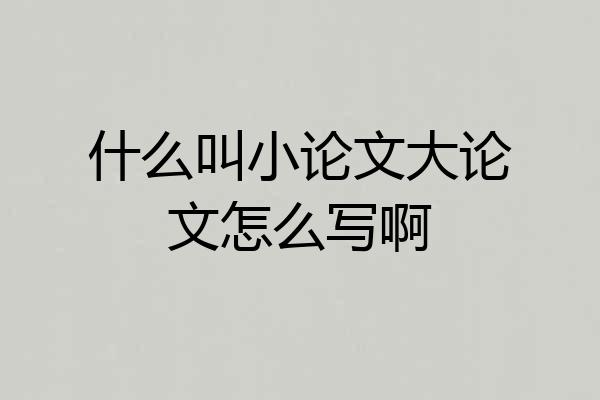 什么叫小论文大论文怎么写啊