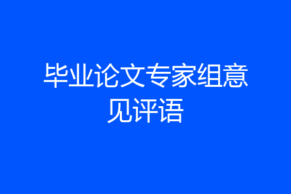 毕业论文专家组意见评语
