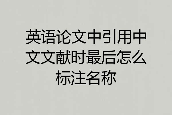 英语论文中引用中文文献时最后怎么标注名称