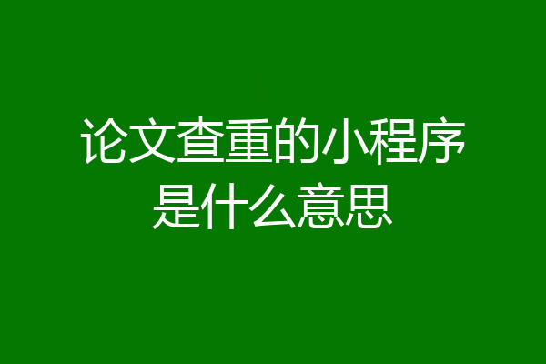 论文查重的小程序是什么意思